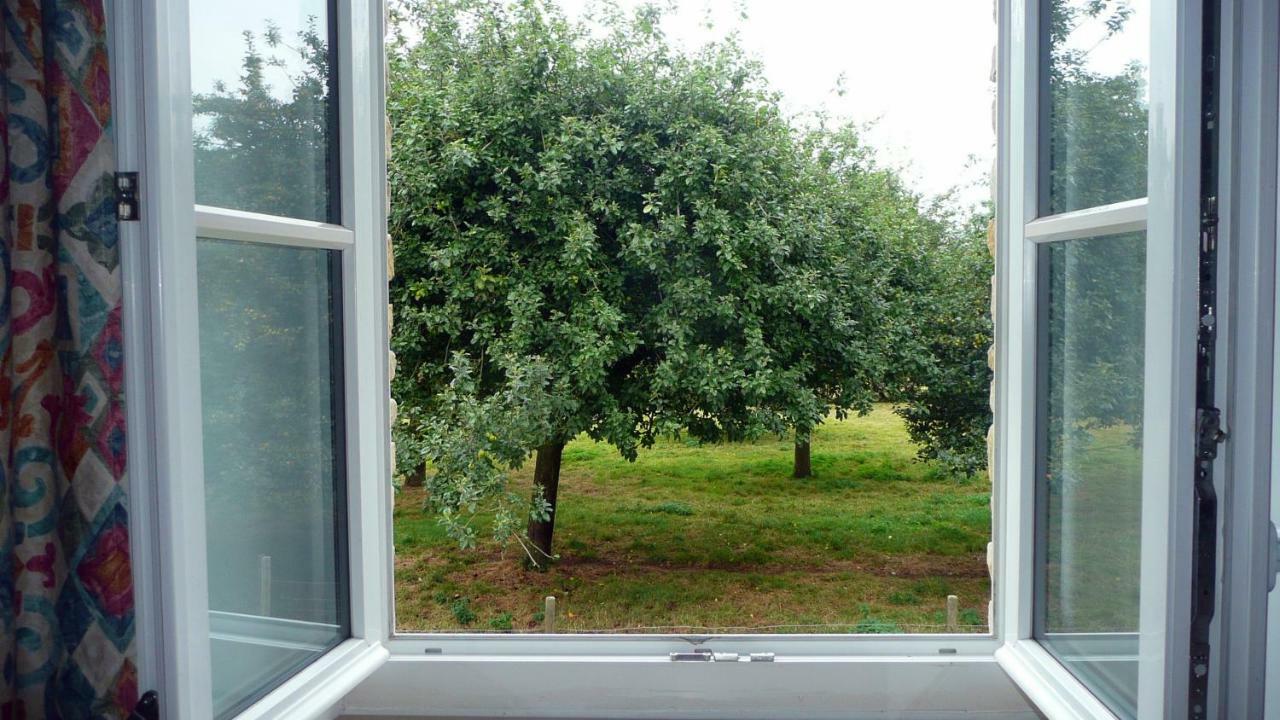Domaine De La Cour Vautier Acomodação com café da manhã Mandeville-en-Bessin Exterior foto